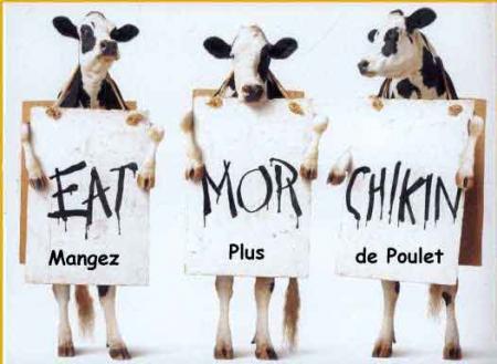 Manger plus de poulet!